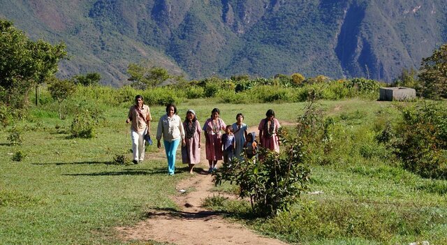 Reconocimiento de la propiedad colectiva y de los derechos sobre la tierra de las comunidades indígenas y afro descendientes