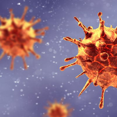 Timeline: Los Virus en la historia