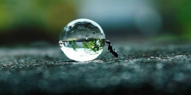 Gerente de recursos humanos - Persistencia, adaptación a los cambios.