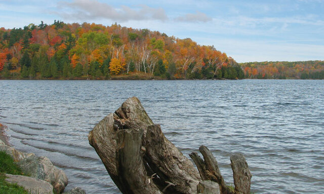 Échec de l'accord du lac Meech