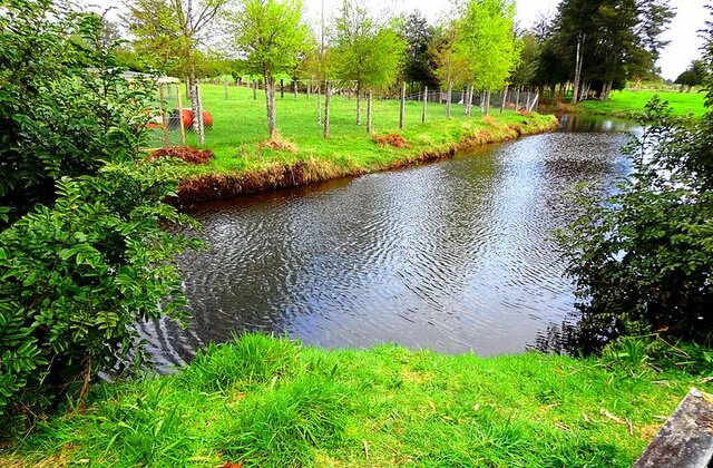 Primeras evidencias de asentamientos humanos: Monte Verde