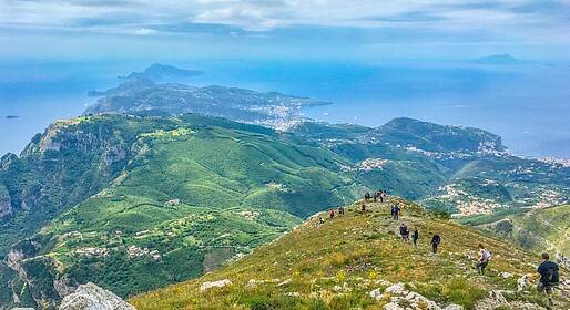 Sui Monti Lattari-Penisola Sorrentina i Picentini iniziano ad allevare bovini che producono latte