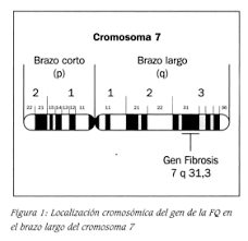 Secuenciación del análisis de ligamiento del virus VIH-1 del gen de la fibrosis quística