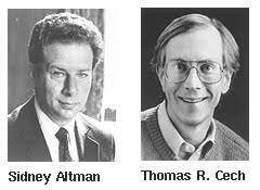 ARN como enzima catalítica