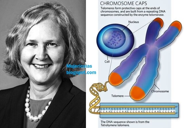 Elizabeth Helen Blackburn (1948)