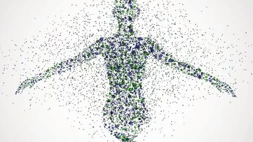 Primer mapa físico del genoma humano en alta resolución