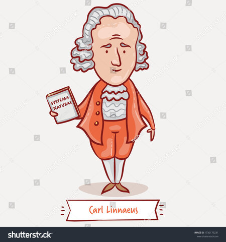 CARL LINNAEUS