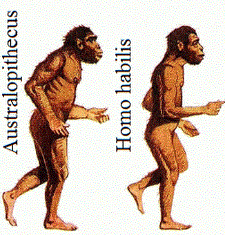 Paleolítico inferior (2,5 millones de años a.C. - 120.000 a.C.