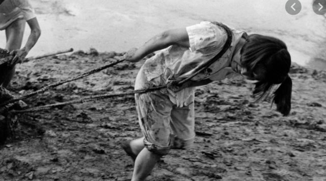 Down to the Country Side Movement