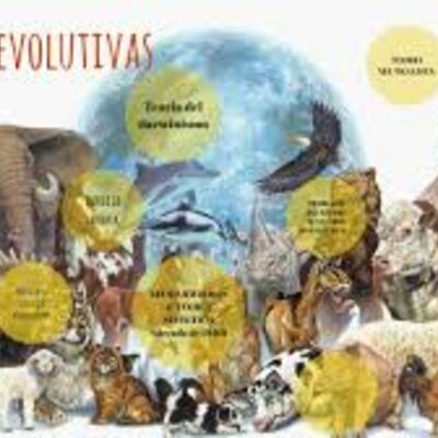 Timeline: Teorías Evolutivas