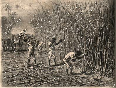 3-EXPLOTACIÓN ECONÓMICA