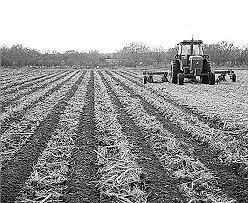 El departamento de Agricultura de USA elaboró el presupuesto base cero