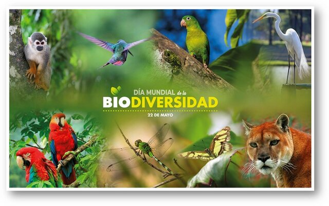 Inventario biodiversidad en Colombia