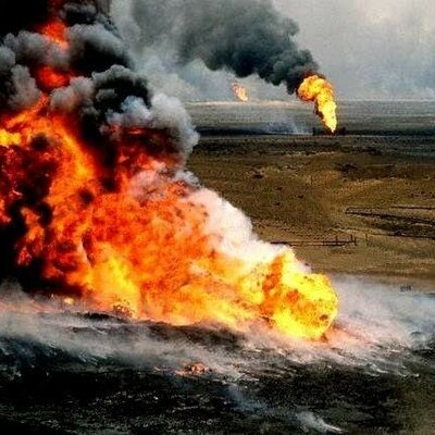 Timeline: incendio en Australia por nido de avispas