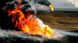 Timeline: incendio en Australia por nido de avispas