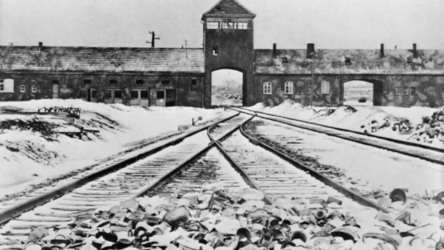 Auschwitz/ Dachau Death Camps