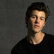 Shawn mandes
