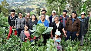 Decreto 327 de 2007-Comunidades rurales y campesinas