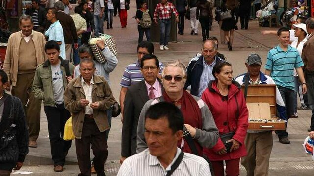 decreto 544 de 2011-Adultez