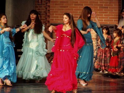 Decreto 455 de 2009 Consejo Distrital de Cultura del Pueblo Rrom Gitano