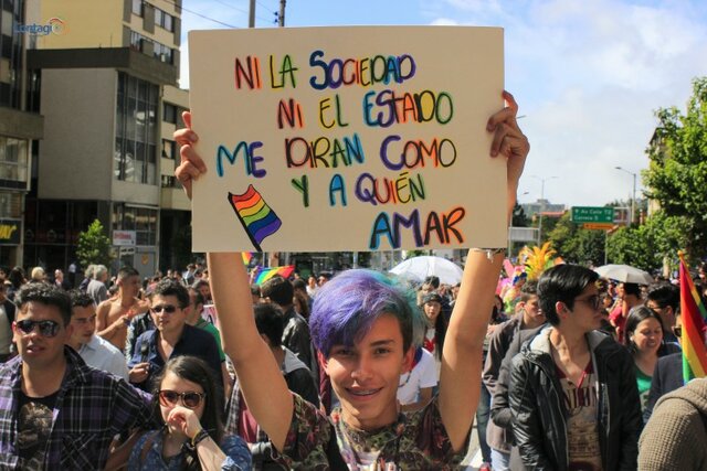 Sentencia C-283/11 LGBTI