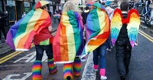 Sentencia T-314/11 LGBTI