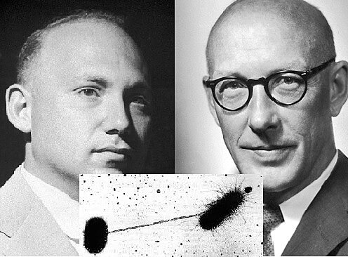 J. LEDERBERG Y  E.TATUM