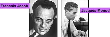 JACOB Y MONOD