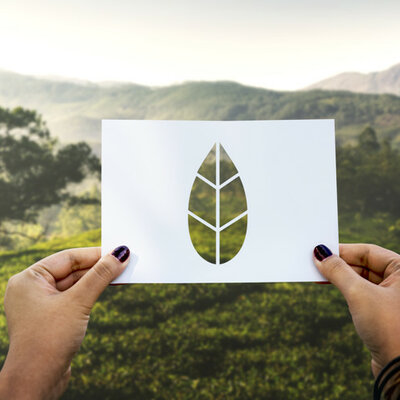 Timeline: Evolución histórica del pensamiento ambiental: educación, sociedad y ambiente.