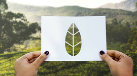 Timeline: Evolución histórica del pensamiento ambiental: educación, sociedad y ambiente.