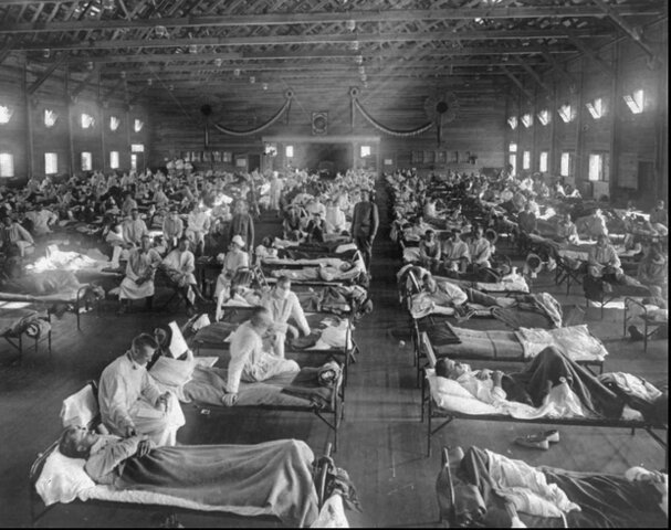 The quick spread of the Spanish Flu