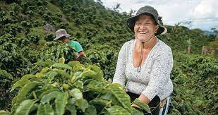 La Ley 731 de 2002 Mujeres