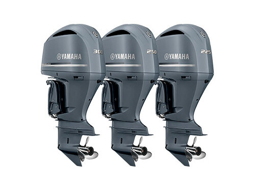 Buscando ir el asenso