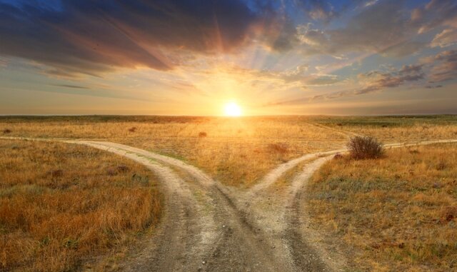 La libertad como destino