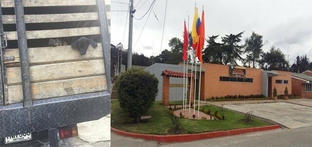 Estancia en el batallón de faca