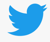 APARICIÓN DE BADOO Y TWETER