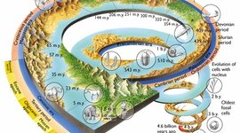 Timeline: ERAS GEOLOGICAS EMMANUEL FARIAS ZAMORA