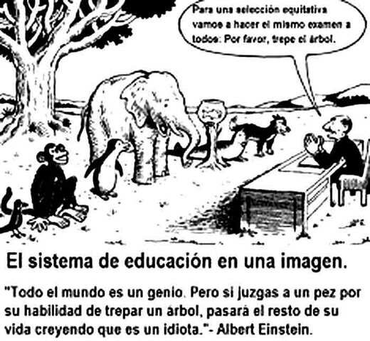 Educación desigual para el país