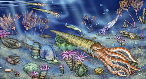 ERA PALEOZOICA