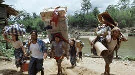 Timeline: Migration about my mom