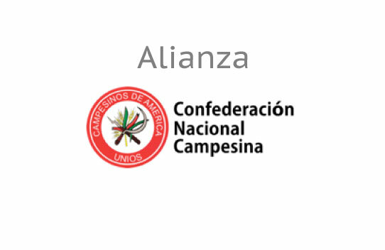 Creacion de la confederacion nacional campesina