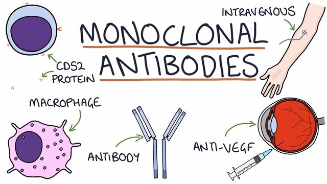 Monoclonal Antibodies