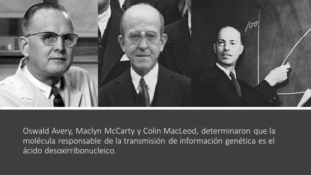 DNA como material genético