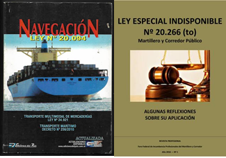 Sanción Ley N° 20094 y Ley N° 20266.