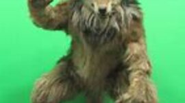 Timeline: Los Animatrónicos