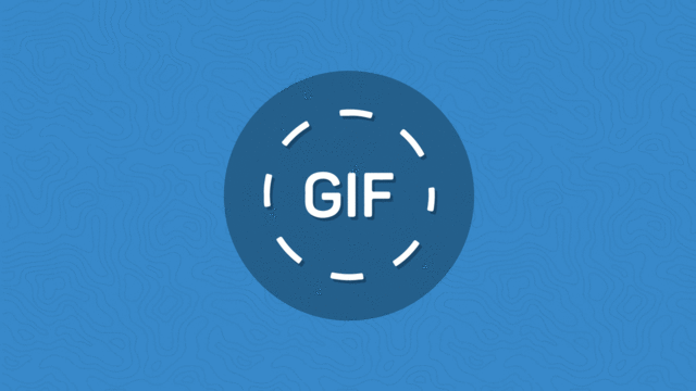 Los GIFS