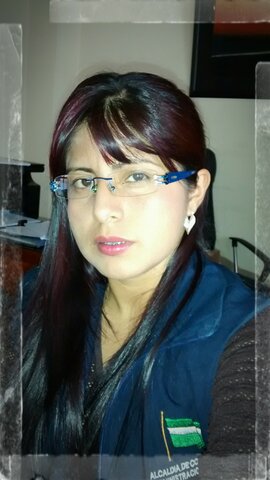 FUNCIONARIA PUBLICA (2013 - 2016)