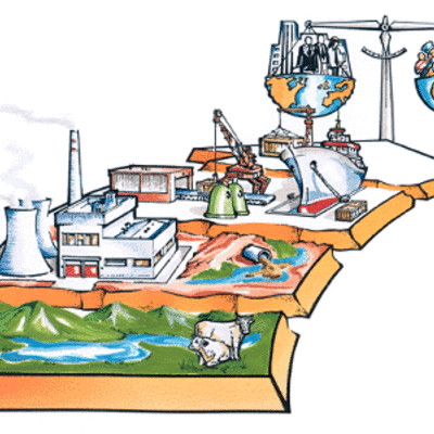 Timeline: Educación Ambiental