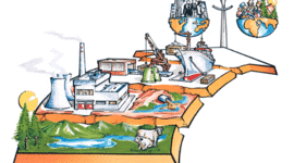 Timeline: Educación Ambiental