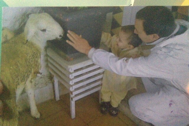 Primera vegada tocant un corder